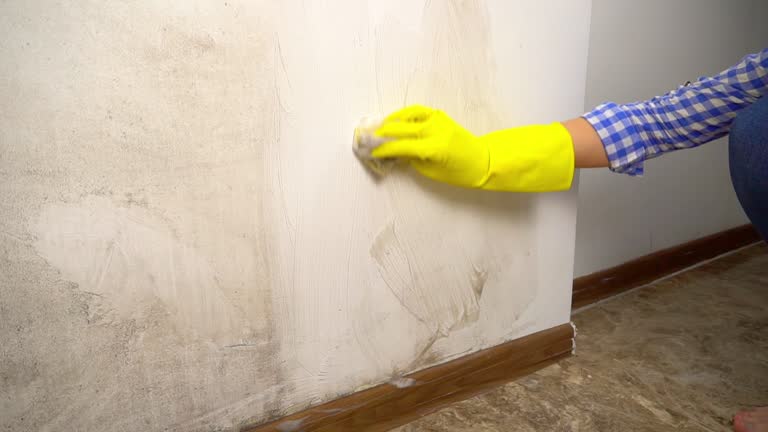 Mold Documentation for Insurance Claims in Peebles, OH